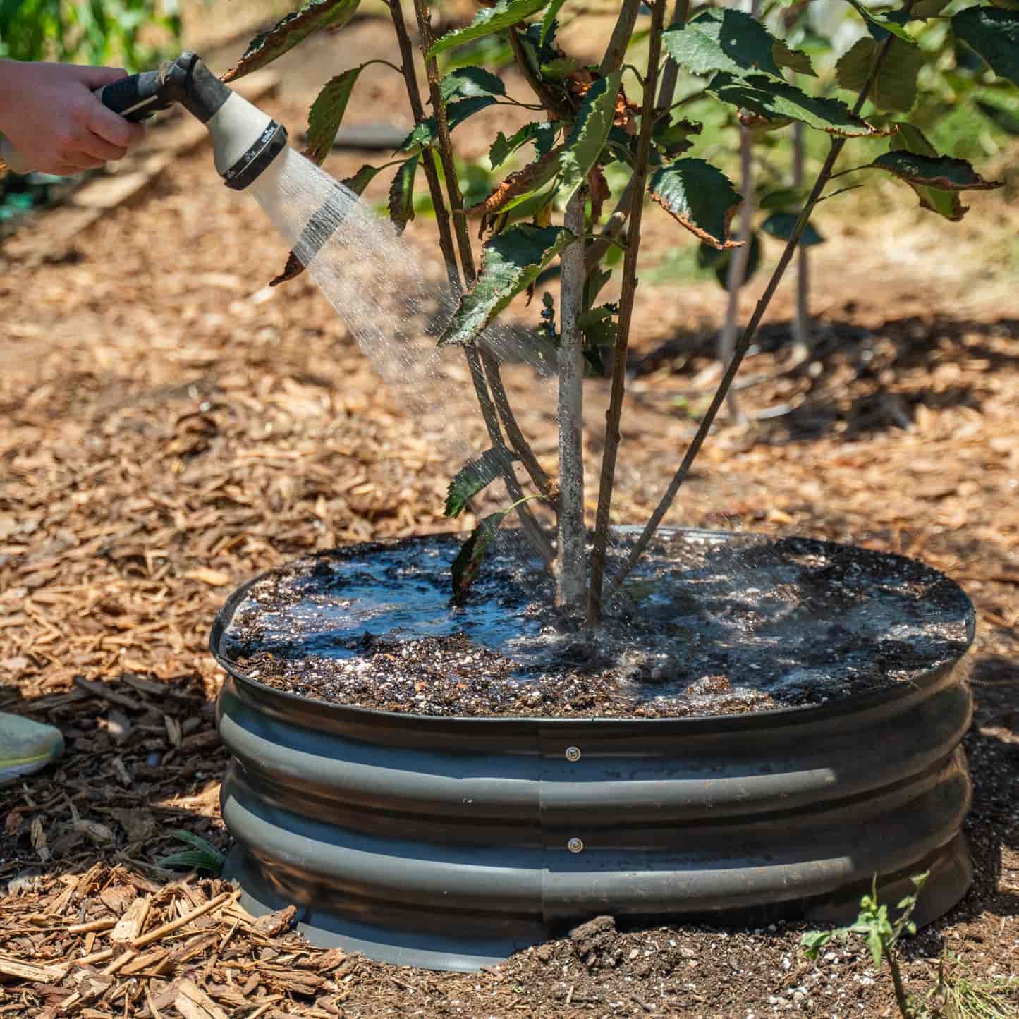 Metal Tree Surround - 8” Tall