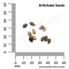Artichoke, Green Globe Seeds, 900mg