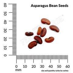 Asparagus, Beans Yard Long Seeds, 7.4g