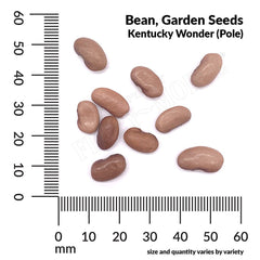 Bean, Kentucky Wonder Organic Seeds, 17.5g