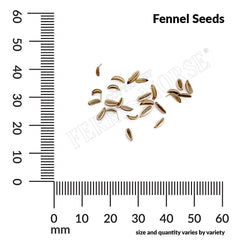 Fennel Organic Seeds, 625mg