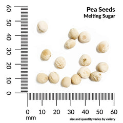 Pea, Mammoth Melting Sugar Pod Organic Seeds, 14g
