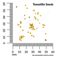 Tomatillo, Purple Organic Seeds, 300mg