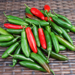Pepper, Serrano Organic Seeds, 400mg