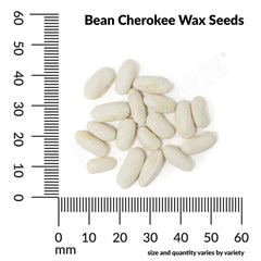 Bean, Cherokee Wax Heirloom Seeds, 22.8g