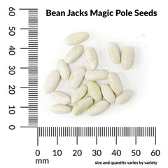 Bean, Jack’s Magic Pole Seeds, 15.8g