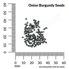 Onion, Red Burgundy Seeds, 1.4g