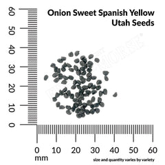 Onion, Sweet Spanish Yellow Utah Seeds, 1.4g