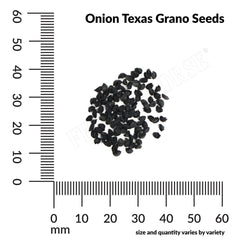Onion, Texas Grano Organic Seeds, 1.1g