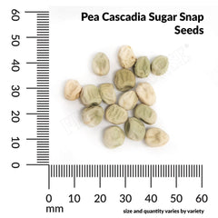 Pea, Cascadia Sugar Snap Organic Seeds, 14g