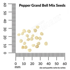 Pepper, Grand Bell Mix Seeds, 600mg