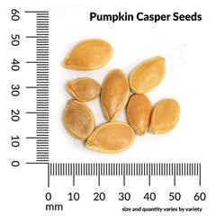 Pumpkin, Casper Organic Seeds, 4.4g