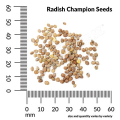 Radish, Champion Organic Seeds, 2.6g