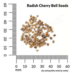 Radish, Cherry Belle Organic Seeds, 2.6g