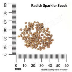Radish, Sparkler Organic Seeds, 2.6g