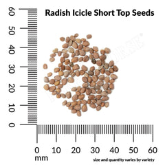 Radish, Icicle Short Top Organic Seeds, 2.6g