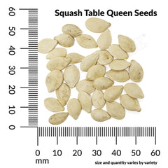 Squash, Table Queen Acorn Organic Seeds, 5.3g