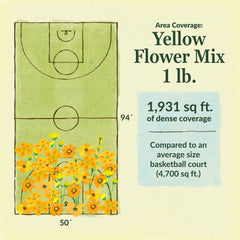 Yellow Mix Bulk Flower Seeds, 1lb