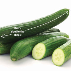 Cucumber, The Big Dill Seeds, 980mg