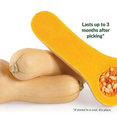 Squash, Butternut Sasquash Seeds, 3g