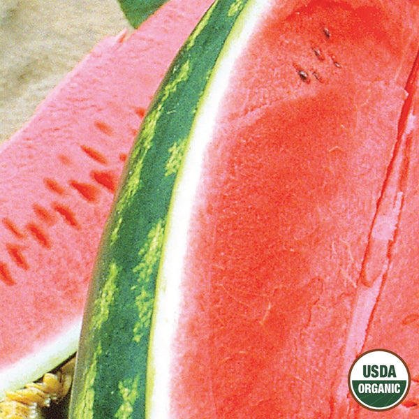 Watermelon, Congo Organic Seeds, 1.9g
