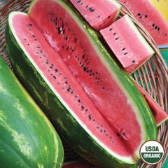 Watermelon, Jubilee Organic Seeds, 1.9g