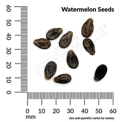 Watermelon, Crimson Sweet Organic Seeds, 1.9g