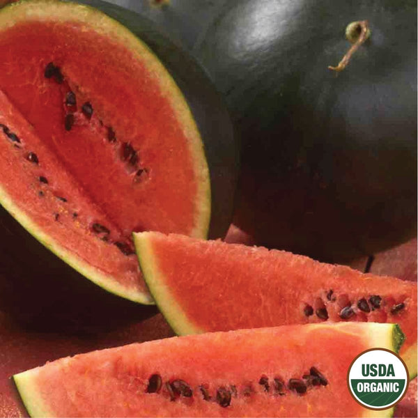 Watermelon, Sugar Baby Organic Seeds, 1.9g
