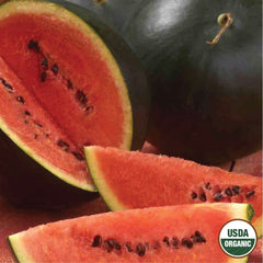 Watermelon, Sugar Baby Organic Seeds, 1.9g