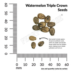 Watermelon, Triple Crown Hybrid Organic Seeds, 500mg