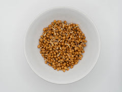 Wheatgrass Organic - Seedsplant