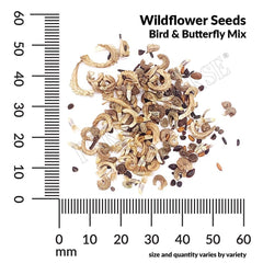 Wildflower Bird and Butterfly Mix Seeds, 8.8g