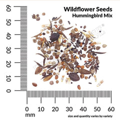 Wildflower Hummingbird Mix Seeds, 8.8g