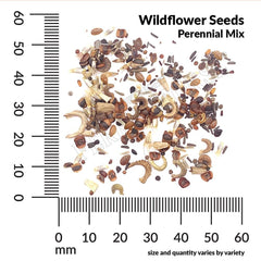 Wildflower Perennial Mix Seeds, 8.8g
