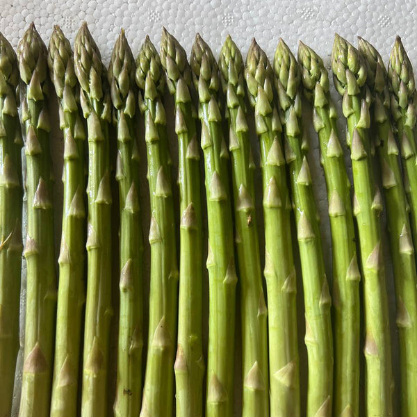 Walker Deluxe Asparagus Crowns