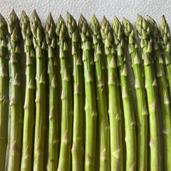 Walker Deluxe Asparagus Crowns