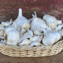 Messidor Garlic