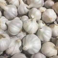 Norquay Garlic