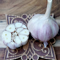 Krandasger Red Garlic