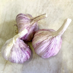 Krandasger Red Garlic