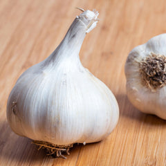 Blue Music Garlic