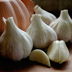 Polish Jenn Garlic