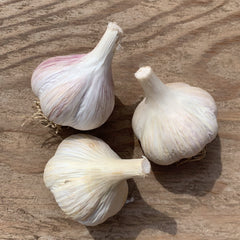 Polish Jenn Garlic