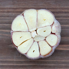 Bavarian Purple Garlic