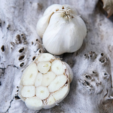 Transylvanian Garlic