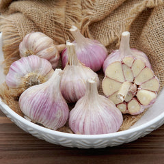 Persian Star Garlic
