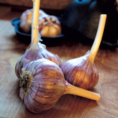Duganski Garlic