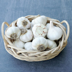 Silver Rose Garlic