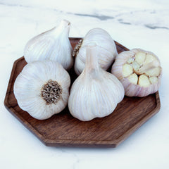 Rosewood Garlic