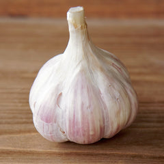Ivan Garlic